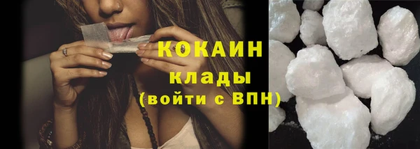 шишки Протвино
