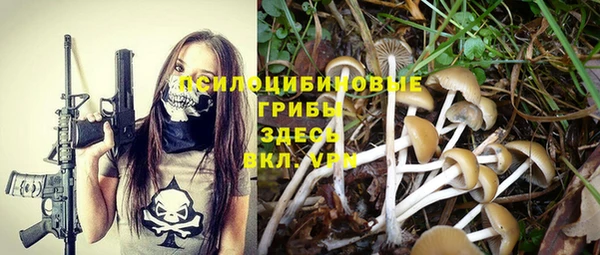 2c-b Фёдоровский