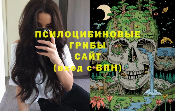 гидра Калининец