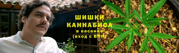 шишки Протвино