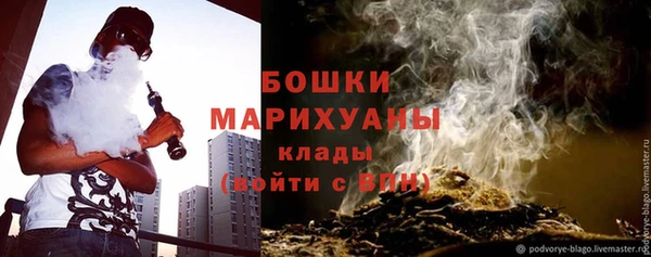 шишки Протвино
