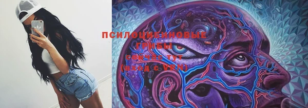 шишки Протвино